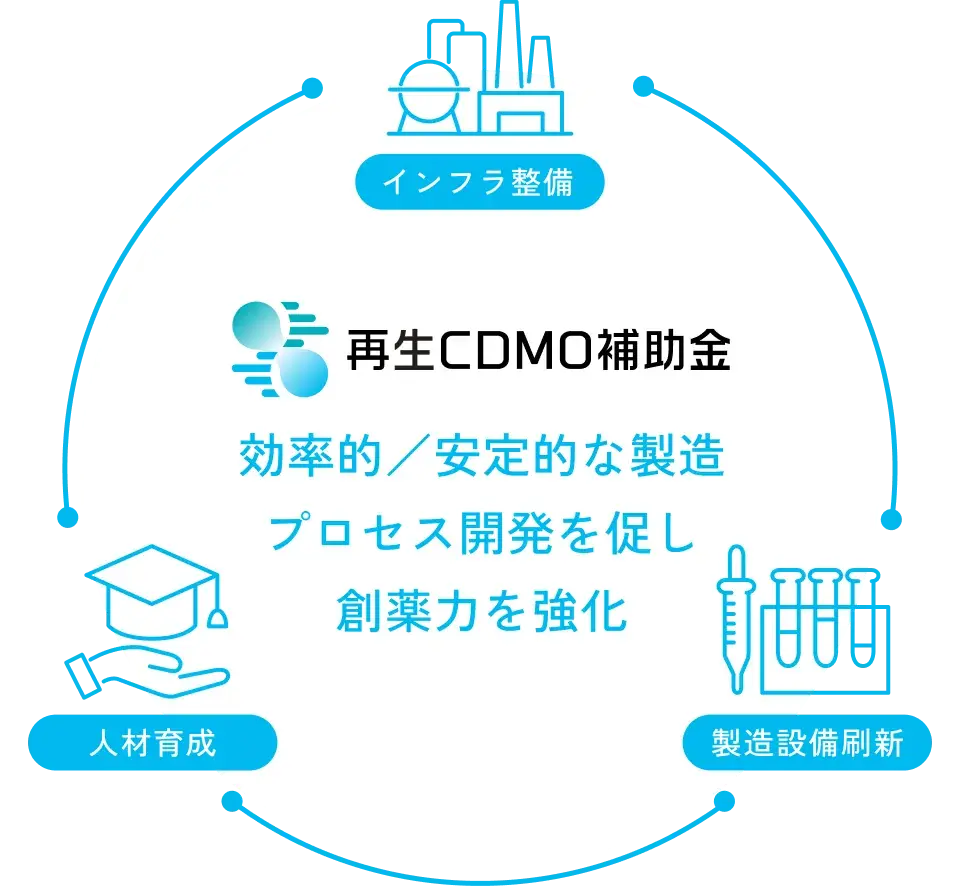 ［再生CDMO補助金］効率的／安定的な製造プロセス開発を促し創薬力を強化
